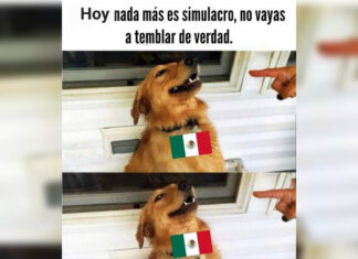 Estos son los memes que dejó el Simulacro Nacional 2023