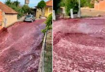 Río de vino inunda calles de Portugal vino