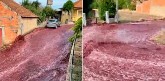 Río de vino inunda calles de Portugal vino