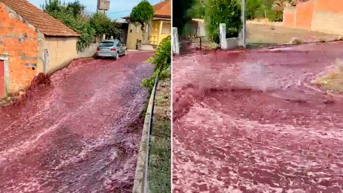 vino