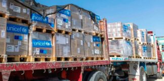Gaza recibió 20 camiones con comida, agua y medicinas: ONU Gaza