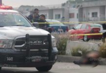 Guardia de seguridad privada muere atropellado en Periférico Guardia