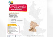 Puebla acumula 2 mil 454 casos de dengue este año: Salud Puebla