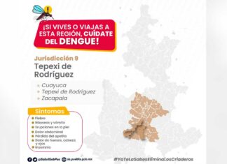 Puebla acumula 2 mil 454 casos de dengue este año: Salud Puebla