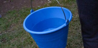 Disminuyen hospitalizados por dengue en Puebla: Salud Salud