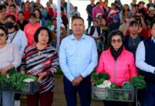 Tlatehui entrega 250 despensas de hortalizas y legumbres Tlatehui