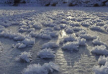 Capturan “flores de hielo” en río Yasáchnaya de Siberia Yasáchnaya