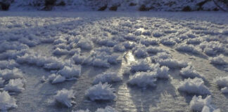 Capturan “flores de hielo” en río Yasáchnaya de Siberia Yasáchnaya