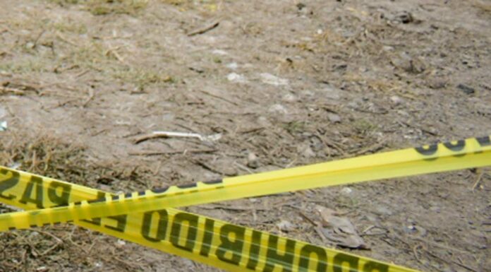 Hallan cráneo humano en Telebachillerato 66 en Puebla cráneo