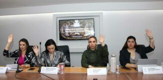 Avalan dictamen sobre derecho de la niñez a tecnologías de información derecho