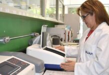 BUAP contribuyen a lograr la inocuidad en la producción de cilantro en Puebla