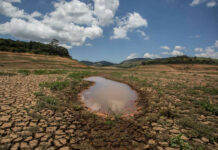 Las causas y consecuencias de la escasez hídrica