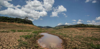 Las causas y consecuencias de la escasez hídrica