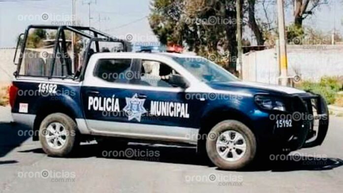 panificadora