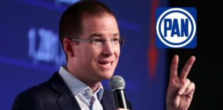 PAN perfila a Ricardo Anaya por la senaduría de Querétaro Anaya