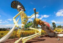 Valle de Catrinas de Atlixco supera expectativas con 300 mil visitantes Catrinas