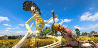 Valle de Catrinas de Atlixco supera expectativas con 300 mil visitantes Catrinas