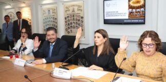 Presenta Comisión de Organizaciones No Gubernamentales Informe Anual de Trabajo Comisión