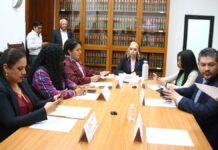 Comisión de Cultura del Congreso presenta Informe Anual de Trabajo Comisión