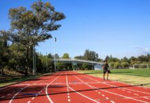 Parques estatales tendrán videovigilancia, anuncia gobierno