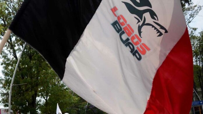 Lobos