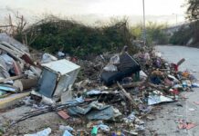 Manglar de Acapulco se convierte en basurero por falta de recolección Manglar