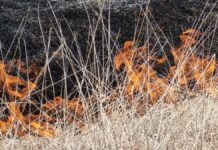 Gobierno sancionará a Tetela de Ocampo por ignorar incendio en basurero Tetela