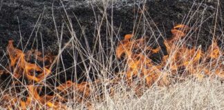 Gobierno sancionará a Tetela de Ocampo por ignorar incendio en basurero Tetela