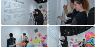 Artes Plásticas UDLAP impulsa las exposiciones individuales UDLAP