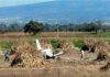 Se desploma avioneta en campos de cultivo de Huejotzingo avioneta