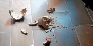 INAH restaurará cráneo de 700 años de antigüedad roto en Cholula cráneo