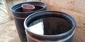 Suma Puebla 2,753 casos acumulados de dengue: Salud Casos de dengue en Puebla