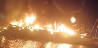 Incendio en marina de BCS deja 10 embarcaciones dañadas Incendio en Marina Palmira de Baja California Sur