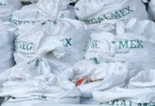 Hong Kong decomisa una tonelada de metanfetamina con logos de Segalmex metanfetamina