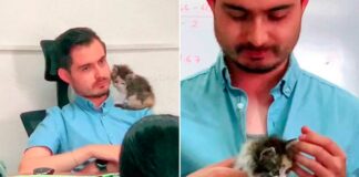 Profesor cuida al ‘michi’ de una alumna durante examen michi