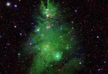 NASA capta grupo de estrellas en forma de árbol de Navidad