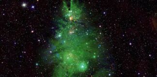NASA capta grupo de estrellas en forma de árbol de Navidad