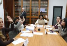 Avalan exhorto para que municipios promuevan inclusión de mujeres con discapacidad