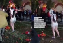 Difunden supuesto video previo a la masacre en Guanajuato