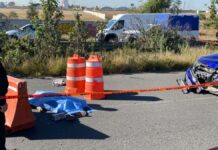 Mujer muere atropellada en Periférico Ecológico