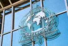 Interpol detiene a más de mil presuntos ciberdelincuentes en África INTERPOL
