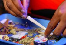 Cerca de mil 500 licencias de marihuana serán otorgadas en NY