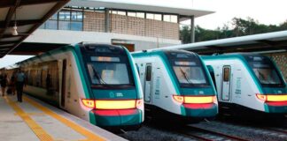 Tren Maya reanuda operaciones tras paso de “Beryl” Tren Maya