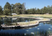 Bosque del Ajolote concluye primera etapa de rehabilitación