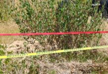 Encuentran cadáver golpeado de joven en Coatzingo cadáver