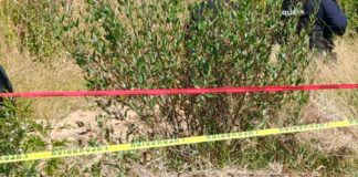 Degollado y encobijado encuentran cadáver de joven en Zaragoza cadáver