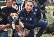 Entregan reconocimientos a graduados del curso “Entrenando a tu lomito”