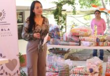 Entrega Voluntariado del Congreso más de una tonelada de apoyo en Cacapala y Epatlán