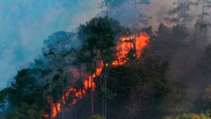 Incendio