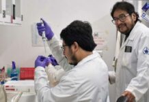 Investigadores BUAP analizan problemas de memoria causados por obesidad obesidad